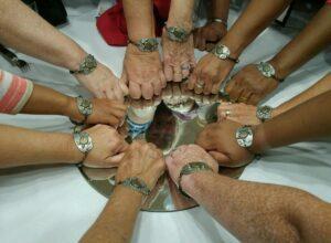 Turtle Power-First Statewide Pyramid Model Institute
